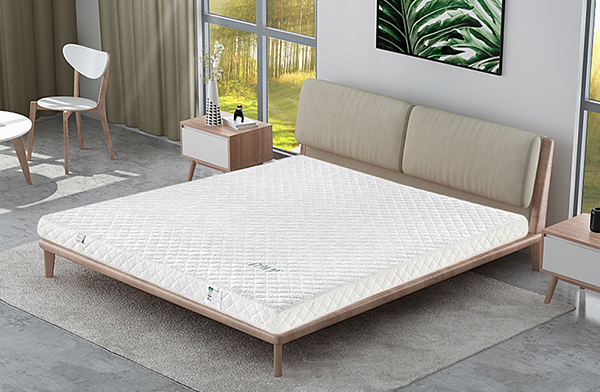 自然梦告诉你弹簧床垫和椰棕床垫到底哪个比较好